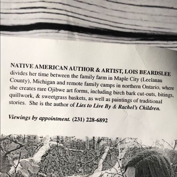 Vintage Lois Beardslee Ojibwe birch turtle pin - Picture 4 of 6